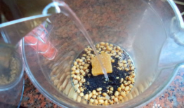 黑芝麻豆浆孕妇,黑芝麻豆浆的养生之道